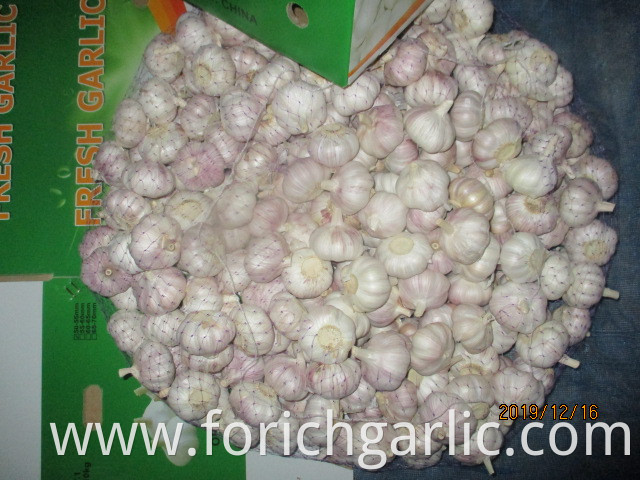 How To Preserve Garlic Bulbs